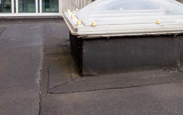 disadvantages of Braehead Of Lunan flat roofs