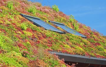 Braehead Of Lunan living roof systems