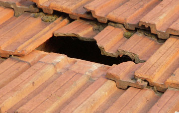 roof repair Braehead Of Lunan, Angus